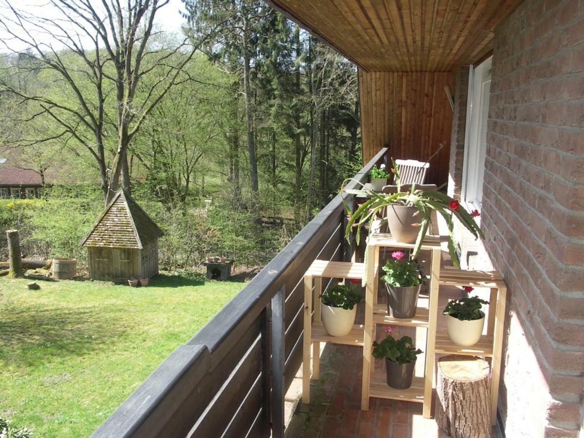 Ferienwohnung An Der Farchauer Muehle Schmilau Экстерьер фото